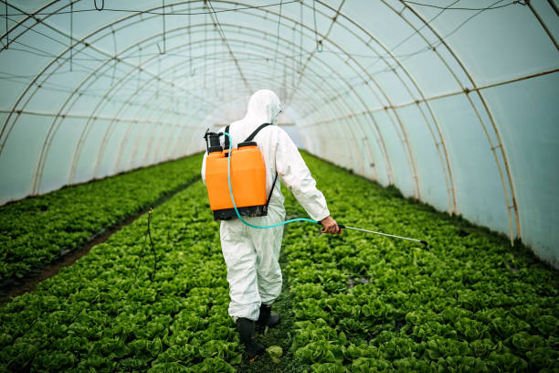 Best Local Pest Control Services  in Harrodsburg, KY