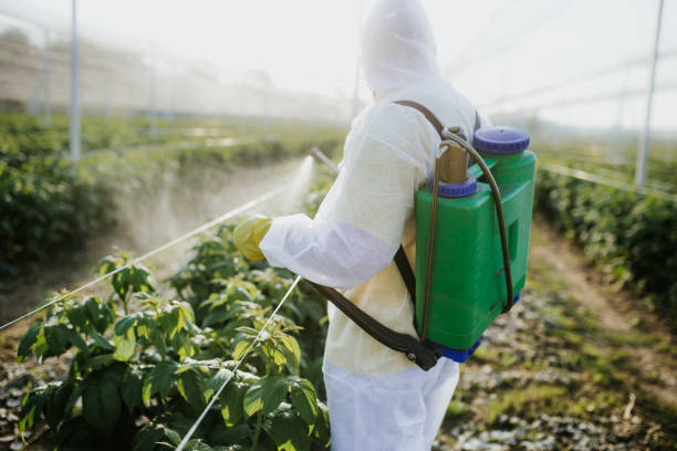 Reliable Harrodsburg, KY Pest Control Solutions